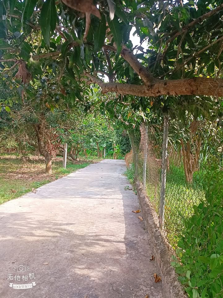 Đất thổ cư Diên Lâm 200m² chỉ 500 triệu - Đầu tư sinh lời ngay!