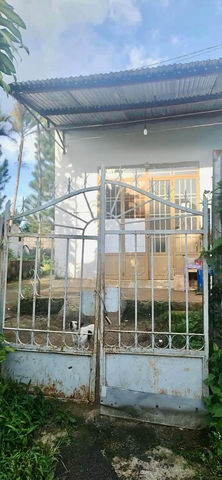 Nhà cho thuê hẻm 102 Mạc Đĩnh Chi, Bảo Lộc 2 triệu/tháng - Phù hợp gia đình nhỏ!