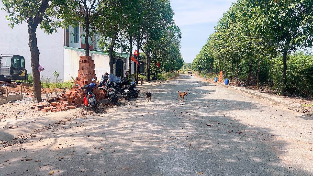 Đất thổ cư 150m² đường N7, Bến Cát chỉ 1.6 tỷ - Cơ hội đầu tư hấp dẫn!