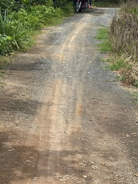 Đất mặt tiền kênh Biện Cung 960m² giá 800 triệu - Cơ hội đầu tư lý tưởng!