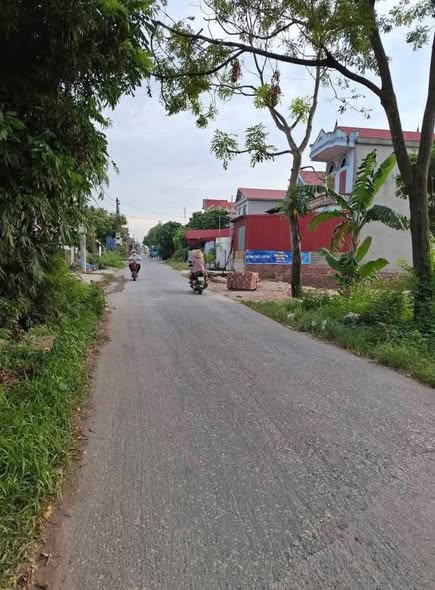 Đất nền 120m² xã Liên Hòa, Kim Thành giá 2 tỷ - Hướng Đông mát mẻ tài lộc!