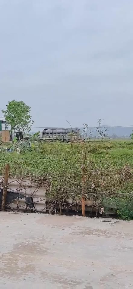 Đất ở Thịnh Sơn 830m² giá chỉ 8.3 tỷ - Đầu tư sinh lời ngay!