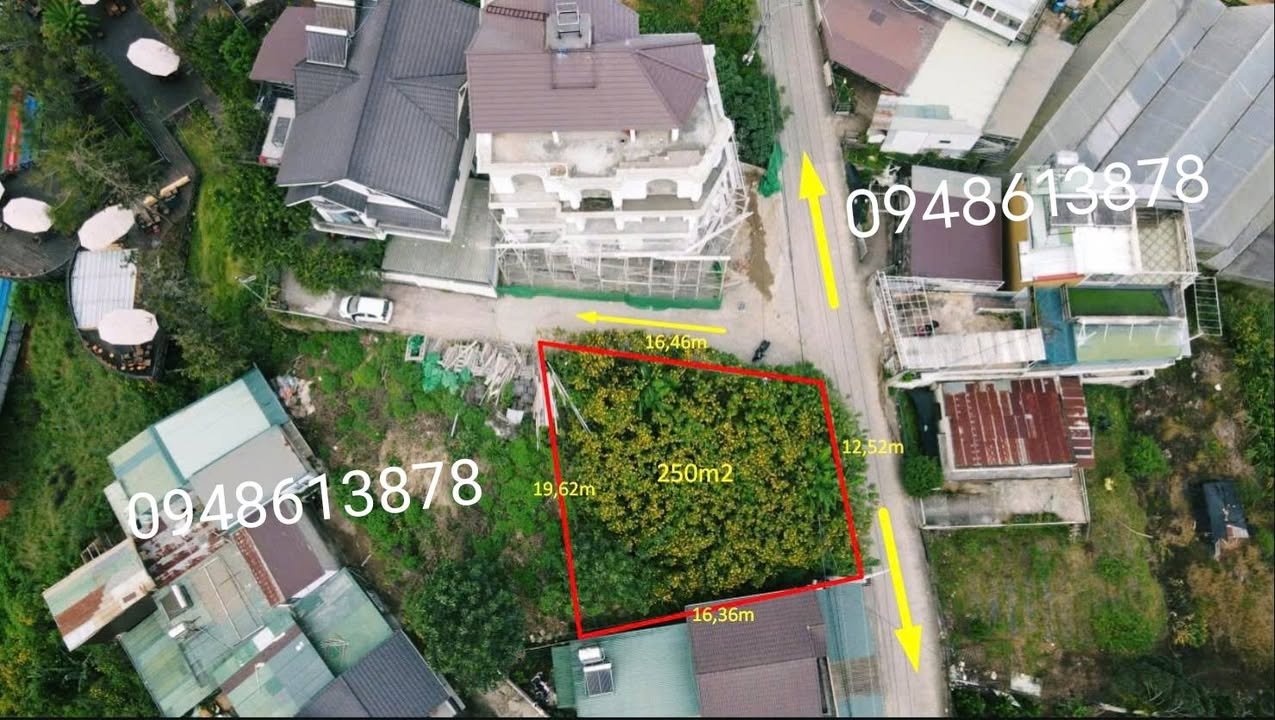 Đất xây dựng 250m² đường Hoàng Hoa Thám, Đà Lạt - Giá 9.7 tỷ, view rừng thông tuyệt đẹp!