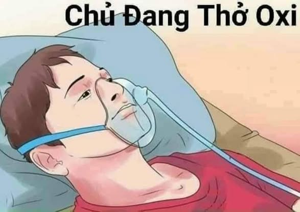 Đất nền ấp Tây Hòa, Tiền Giang 1923m² - Đường ô tô vào tận nơi!