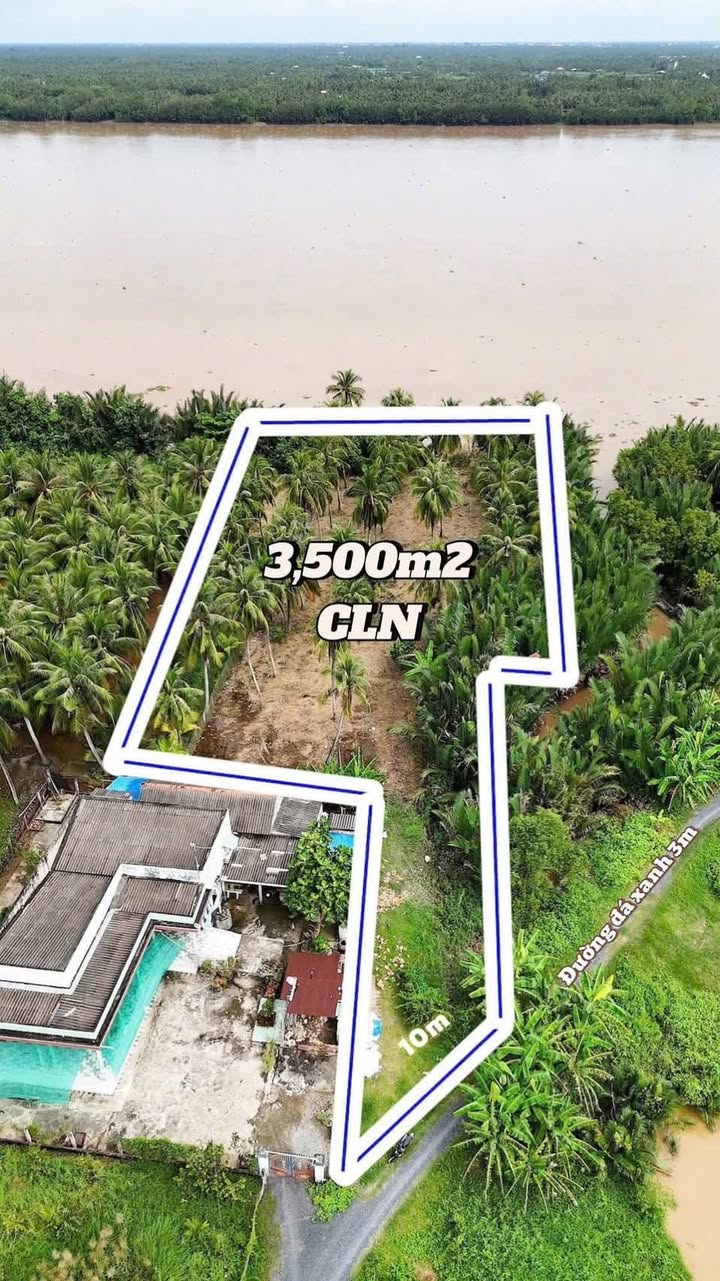 Vườn dừa Tân Phú Đông 3,500m² giá 1.746 tỷ - Mặt tiền sông Cửa Tiểu