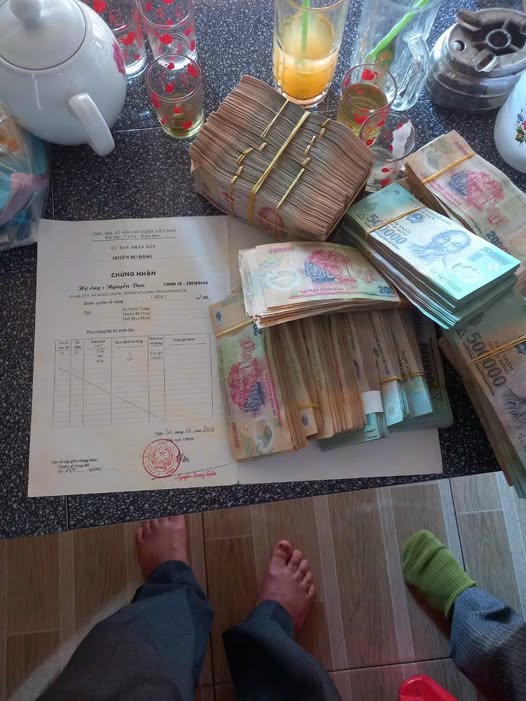 Đất nền Nghĩa Bình 7000m² giá 1 tỷ - Cơ hội đầu tư hấp dẫn!