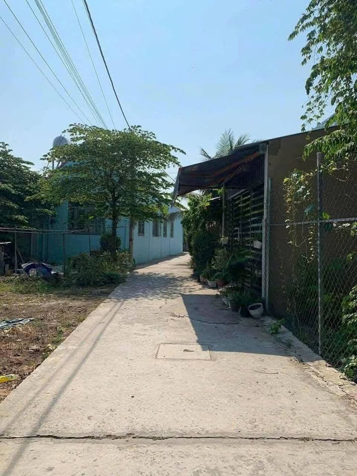 Đất nền ấp Bình Phong, xã Tân Mỹ Chánh, 100m² giá chỉ 700 triệu - Đầu tư sinh lời!