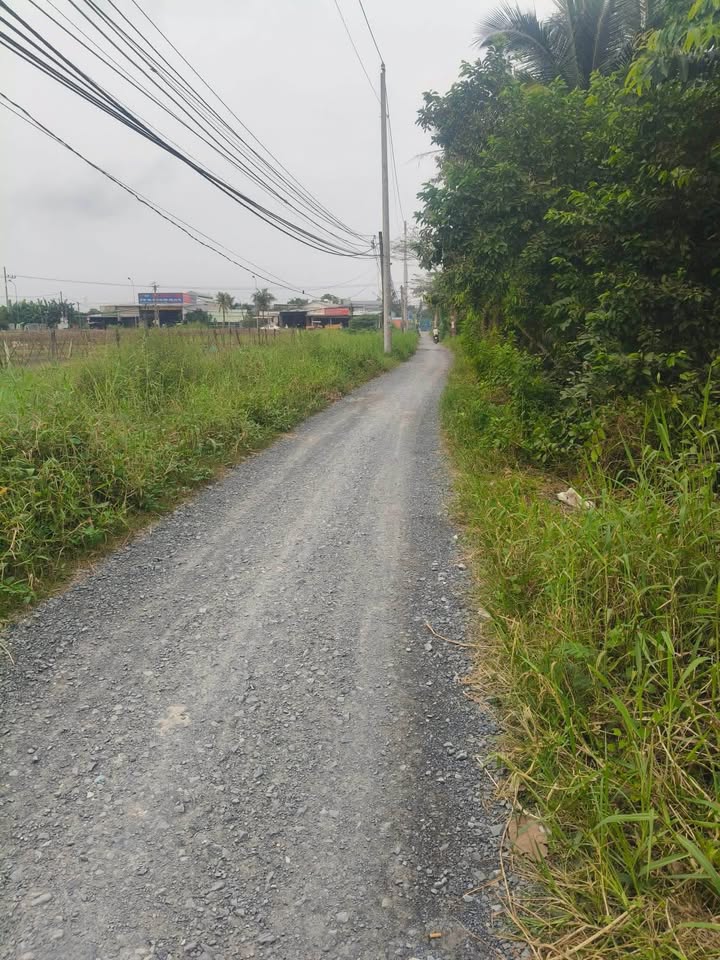 Đất Lúa Long Thượng, Cần Giuộc 958m² giá 2.5 tỷ - Vị trí đắc địa, đầu tư sinh lời!