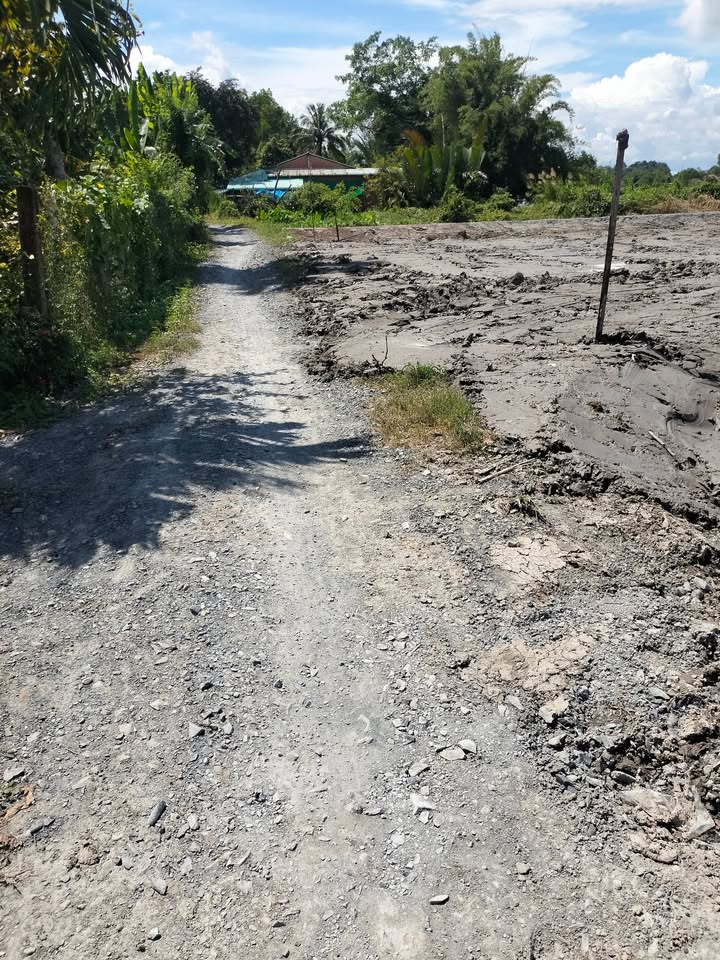 Đất thổ cư 115m² xã Mỹ An, Thủ Thừa - Đầu tư sinh lời hấp dẫn!