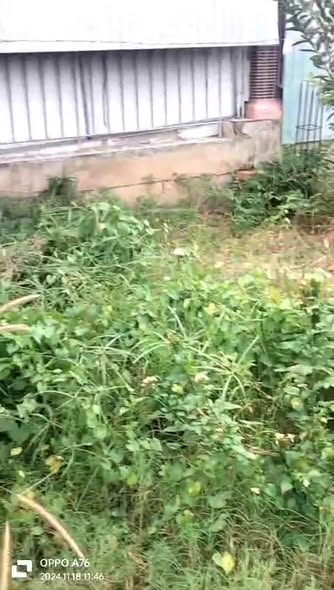 Đất nền Bến Cát 351m² giá 3.7 tỷ - Thổ cư 200m², cao ráo và chất lượng!