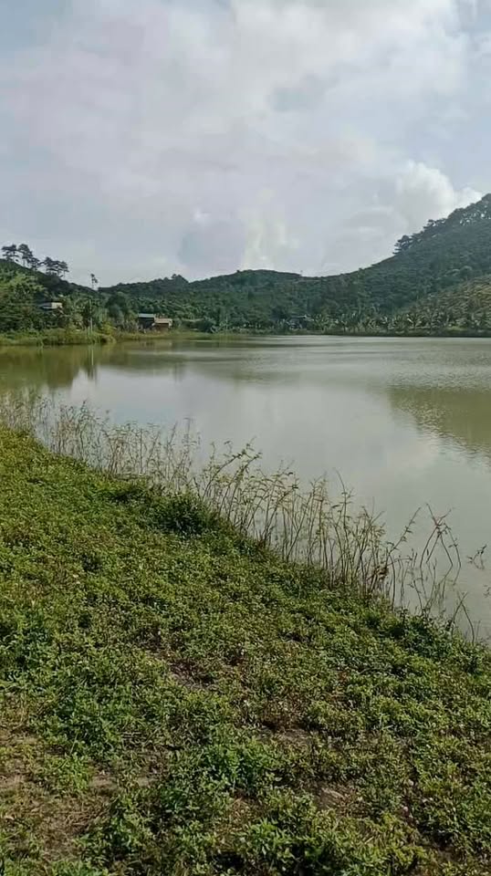 Đất nông nghiệp Gung Ré, Di Linh 28,800m² giá 1.1 tỷ - Thế đất đẹp, tiềm năng phát triển!