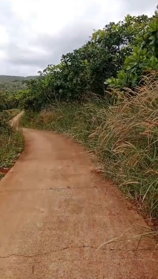 Đất nền 30.000m² tại Thống Nhất, Bù Đăng - Giá chỉ 1.1 tỷ VND!