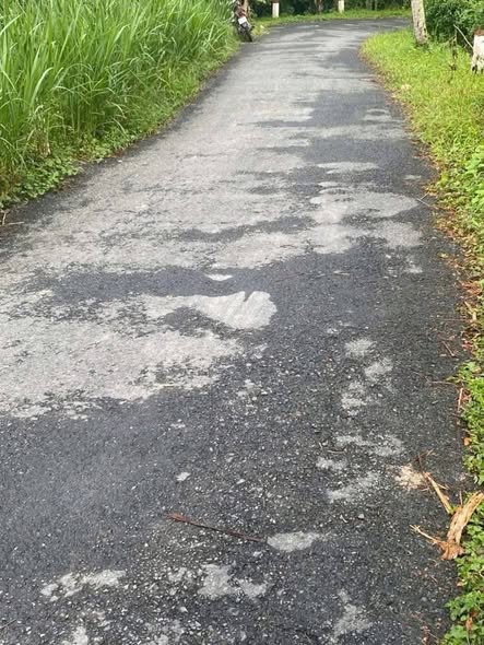 Đất nền mặt tiền đường nhựa Trà Côn 50m² giá 260 triệu - Cơ hội đầu tư tuyệt vời!