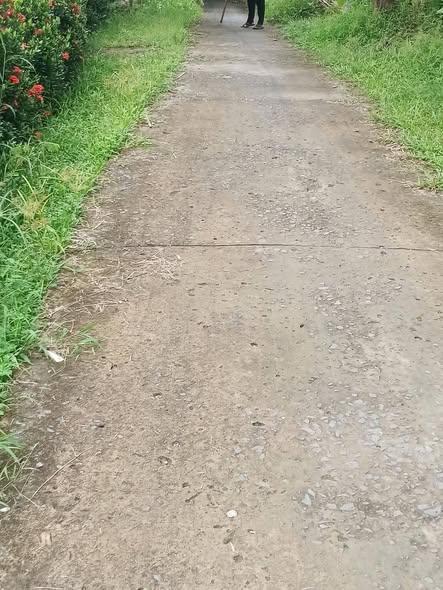 Đất nền Hiếu Phụng Vĩnh Long 4000m² giá 1.8 tỷ - Tiềm năng phát triển cao!