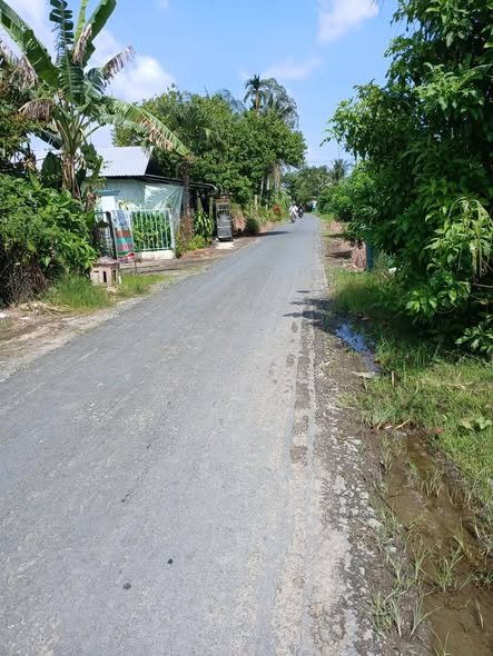 Đất nền Song Phú, Tam Bình 200m² chỉ 380 triệu - Cơ hội đầu tư hiếm có!