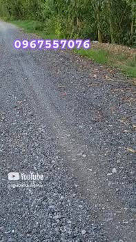 Đất trồng lúa xã Bình Hòa Tây, Mộc Hóa 24000m² giá 2.88 tỷ - Cơ hội đầu tư hấp dẫn!