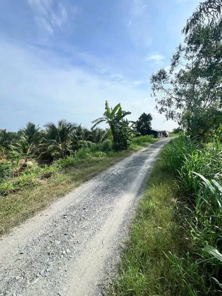 Đất nền thổ cư 187m² tại ấp Cầu Hàng, Châu Thành - Giá chỉ 350 triệu!