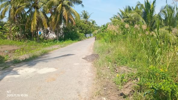 Đất nền Hòa Bình Trà Ôn 150m² giá chỉ 290 triệu - Đầu tư sinh lời ngay!