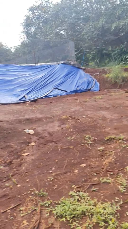 Đất nền 17,500m² tại đường Sóc 29, Nghĩa Bình, Bù Đăng - Giá 3 tỷ