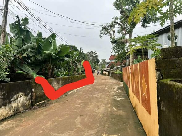 Đất nền phường Tây Hiếu, Thái Hòa 268m² - Đầu tư sinh lời ở vị trí đắc địa!