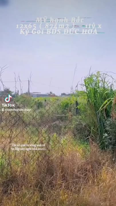 Đất vườn ấp Giồng Lớn 910m² giá 1.49 tỷ - Cơ hội đầu tư tuyệt vời!