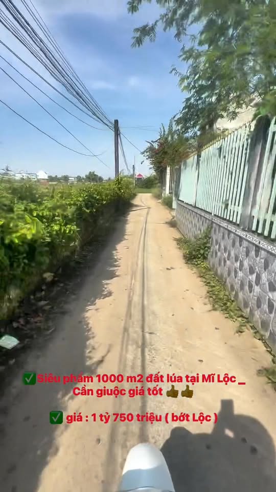 Đất nền 1000m² tại Mỹ Lộc, Cần Giuộc chỉ 1.75 tỷ - Cơ hội đầu tư tuyệt vời!