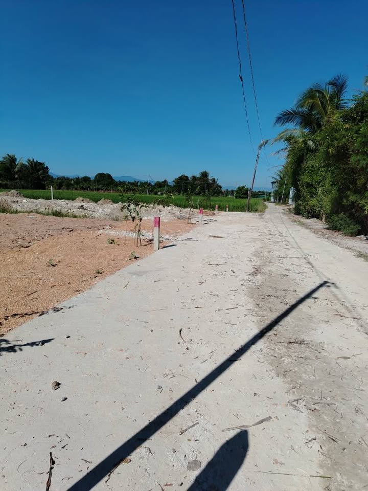 Đất cây lâu năm Phường Bảo An, 509m² giá 700 triệu - Hướng Bắc, ô tô vào tận đất!