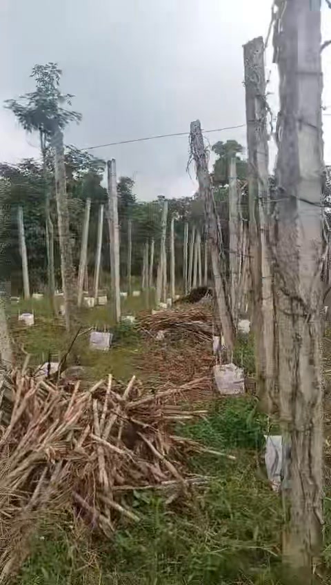 Đất mặt tiền 90m tại Phú Xuân, Krông Năng 2880m² giá 1.6 tỷ - Cơ hội đầu tư tuyệt vời!