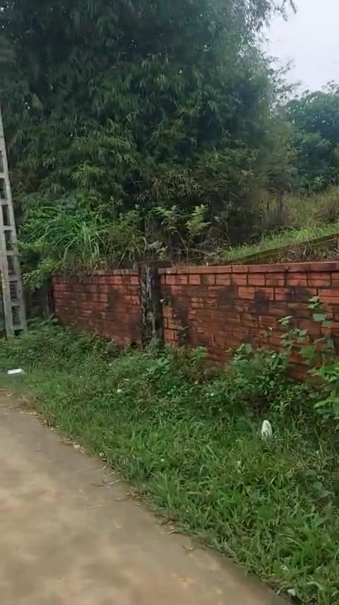 Bán đất thổ cư Yên Bài, Ba Vì, 3000m² - Vị trí đẹp, tiềm năng sinh lời cao!