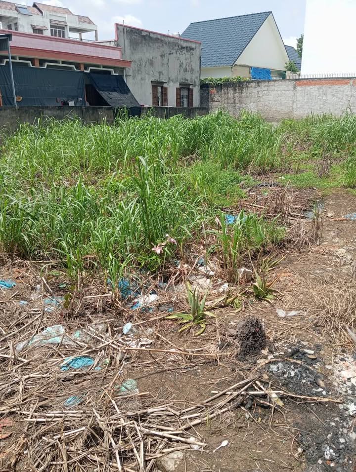 Đất thổ cư 349m² phường 3, Tân An, Long An - Giá chỉ 2.9 tỷ thương lượng!