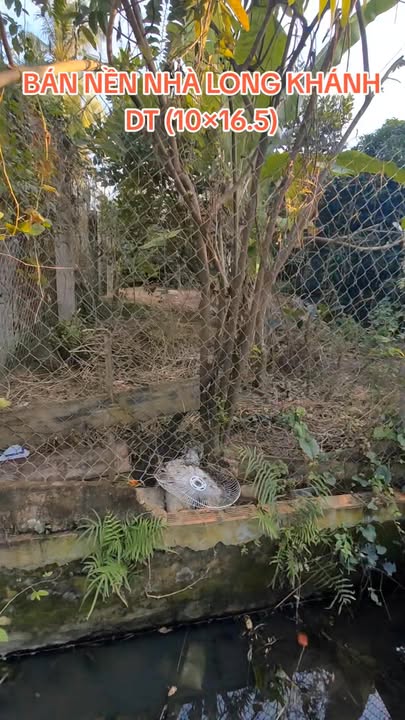 Đất nền tại xã Long Khánh, Hồng Ngự, 165m² - Sổ hồng đầy đủ, giá thương lượng!