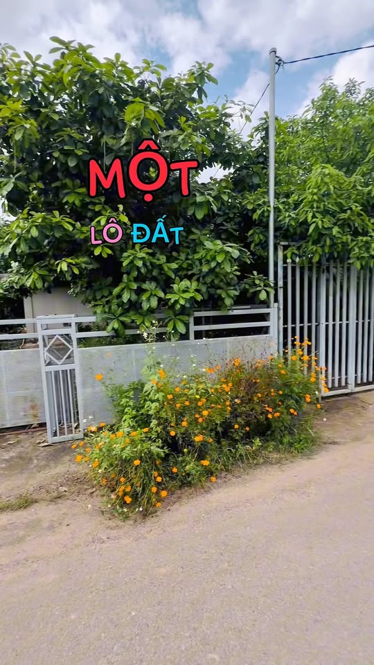 Đất nền xã Long Phước 125m² - Đường nhựa rộng rãi, tiện lợi!