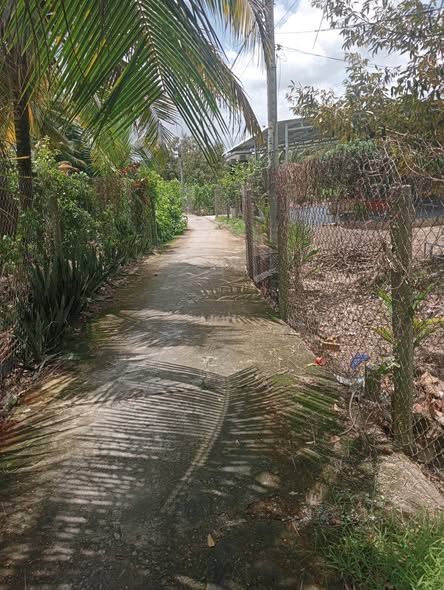 Đất nền Thanh Hòa, Cai Lậy 1000m² giá 1.1 tỷ - Đầu tư sinh lời lý tưởng!