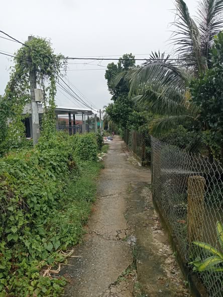 Đất nền mặt tiền đường Đan 5x26m giá 300 triệu - Đầu tư sinh lời tại Cai Lậy!