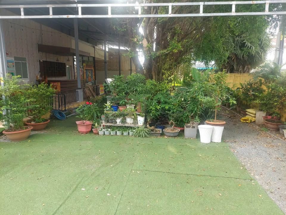 Cho thuê mặt bằng kinh doanh mặt tiền ĐT 742 Vĩnh Tân 742m² giá 7 triệu - Sẵn sàng hoạt động ngay!