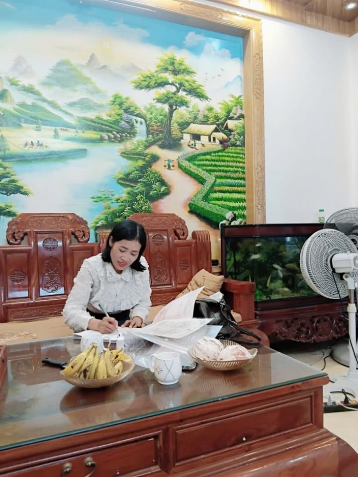 Đất nền Quảng Lưu 185m² giá chỉ 700 triệu - Vị trí trung tâm thuận lợi!