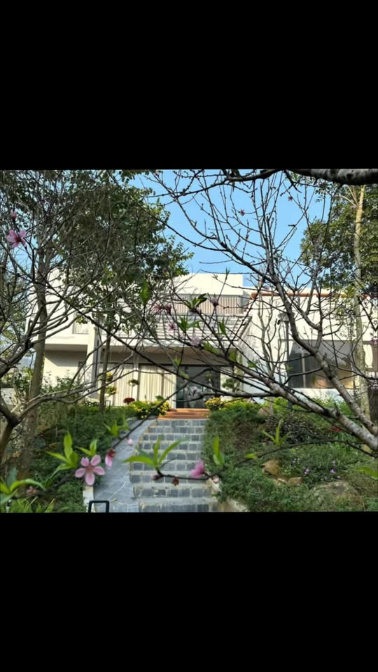 Biệt thự nghỉ dưỡng tại Phú Cát, Quốc Oai 1200m² - Chính chủ bán gấp!