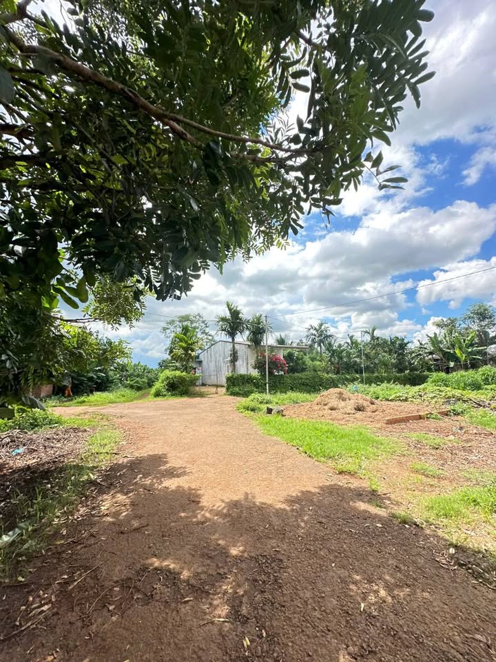 Đất nền kinh doanh 140m² tại Buôn Kbu, Đắk Lắk - Giá chỉ 1.1 tỷ VND!