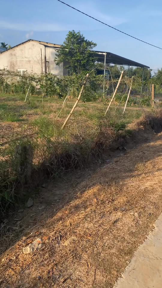 Đất nền thôn 13, xã Phú Xuân 517m² giá 5.17 tỷ - Cơ hội đầu tư tuyệt vời!