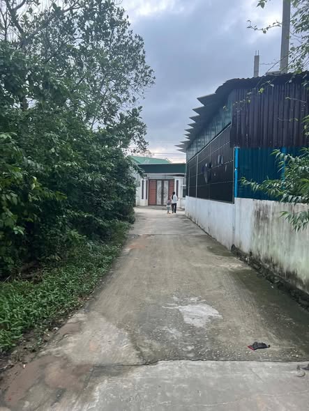 Đất ở Nghi Trung 200m² giá 1.1 tỷ - Cơ hội đầu tư tuyệt vời!