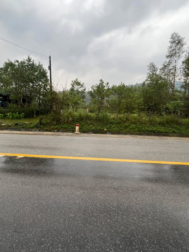 Đất nền thổ cư Quốc lộ 12C, thôn Minh, 200m² giá 900 triệu - Cần bán gấp!