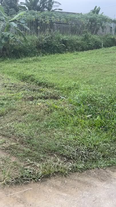 Đất nền góc Quang Diệm, Hương Sơn 130m² giá thỏa thuận - Cơ hội đầu tư tuyệt vời!