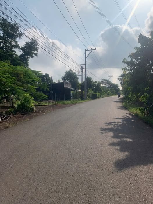 Nhà mặt tiền kinh doanh ấp 6, xã Sông Trầu, Trảng Bom 200m² - Chỉ 399 triệu!