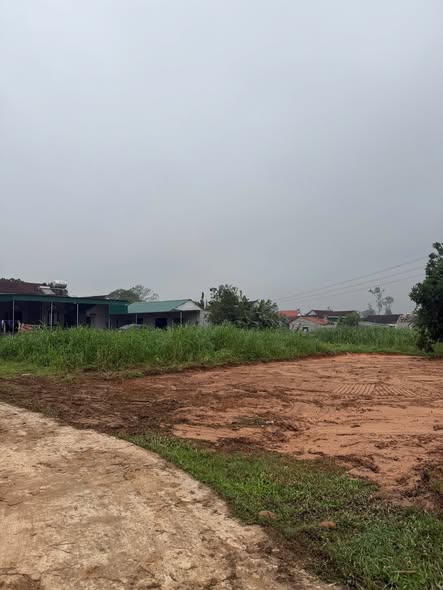 Đất nền khu phố 6, xã Đại Sơn, 174m² - Giá thỏa thuận, đầu tư sinh lời!