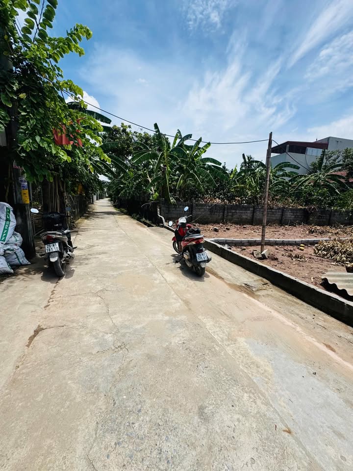 Đất nền Đại Xuyên, Phú Xuyên 80m² - Đầu tư sinh lời ngay!