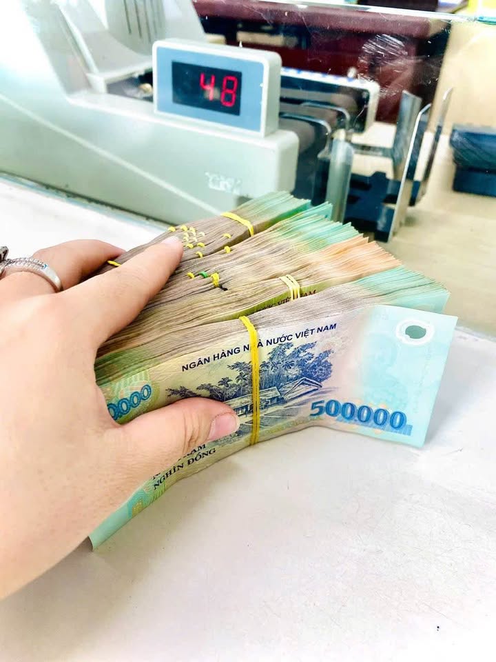 Đất tặng dãy nhà trọ xã Bình Phú, TP Bến Tre gần 200m² giá 2.29 tỷ - Cơ hội đầu tư tuyệt vời!