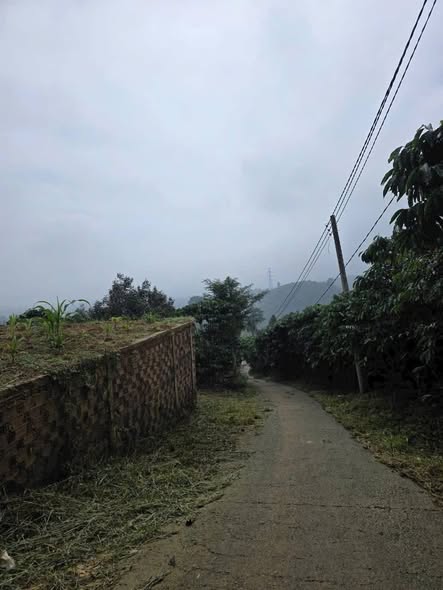 Đất nền xã Lộc Thành, huyện Bảo Lâm 8000m² giá 5.8 tỷ - Đường ô tô vào tận nơi!