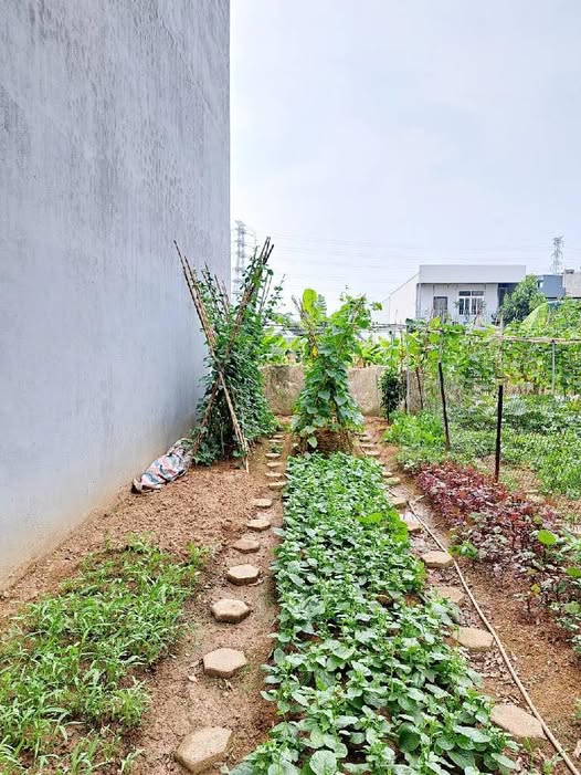 Đất nền phường Yên Nghĩa, quận Hà Đông 70m² giá 10 tỷ - Chính chủ bán gấp!