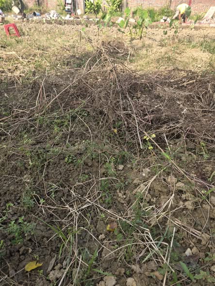 Đất nền Đề Thám, Cao Bằng 87m² giá 800 triệu - Đường ô tô thuận tiện