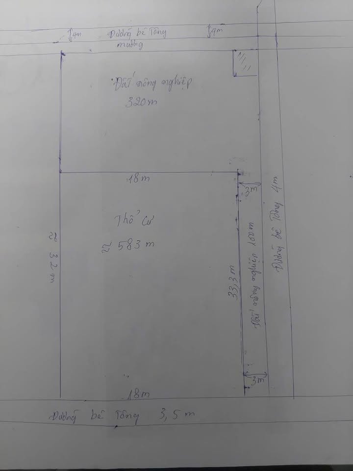 Đất nền Kiến Thụy Hải Phòng 1003m² - Giá đầu tư mềm mại, đường ô tô vào tận nơi!
